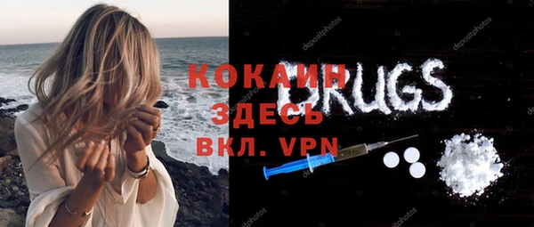 дмт Богородицк