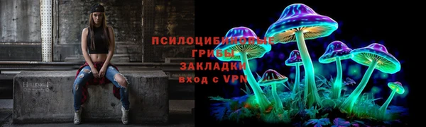 прущие крисы Богородск