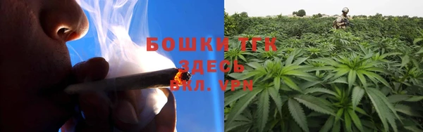 дмт Богородицк
