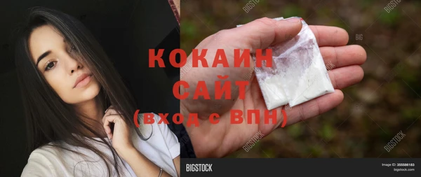 дмт Богородицк