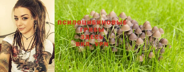 дмт Богородицк