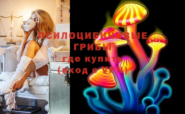 дмт Богородицк