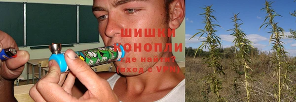 дмт Богородицк