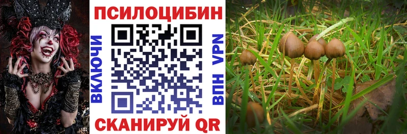 Купить закладки Боровск Галлюциногенные грибы GOLDEN TEACHER